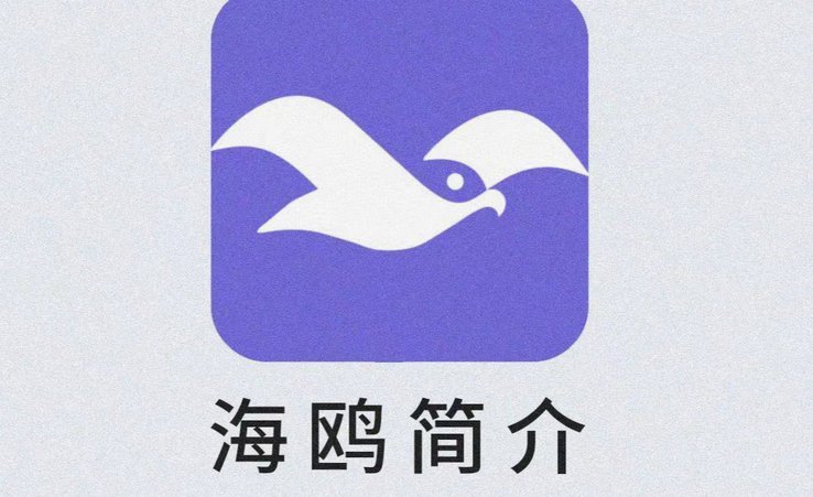 海鸥花呗平台 出来多久了