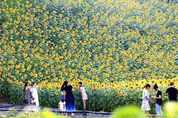 去哪儿拿去花在哪里还钱