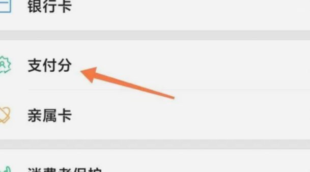 得物微信先用后付额度怎么看