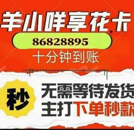 羊小咩怎么分期还款