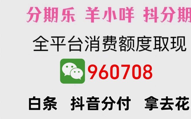 羊小咩账单怎么分期