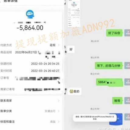 白条临时额度如何提现