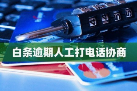 白条逾期了，该找谁协商？