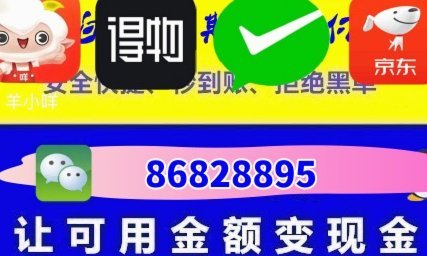 羊小咩1000额度：如何灵活运用？