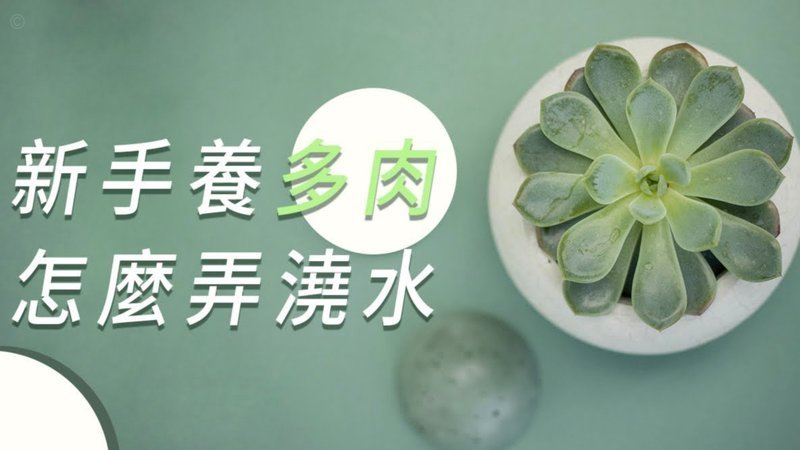 秒花花平台贷款是合法的吗