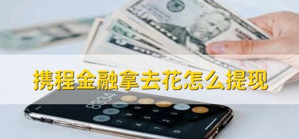 拿去花现在可以怎么套