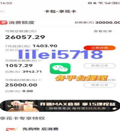 揭秘“羊小咩”消费贷额度背后的科学评估体系