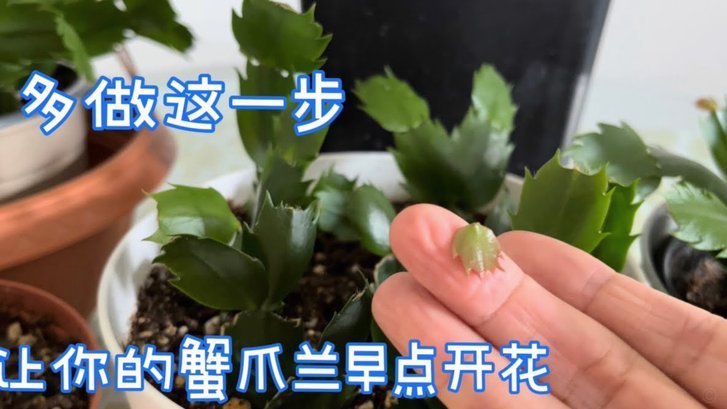 携程拿去花开通失败怎么办？