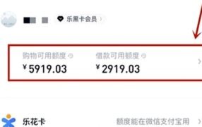分期乐额度借不出来人工客服反馈有用吗