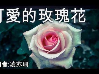 花呗是否正规平台