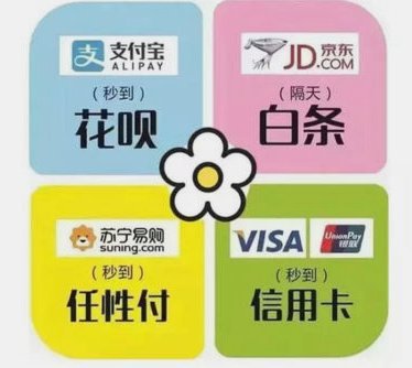 京东白条秒到