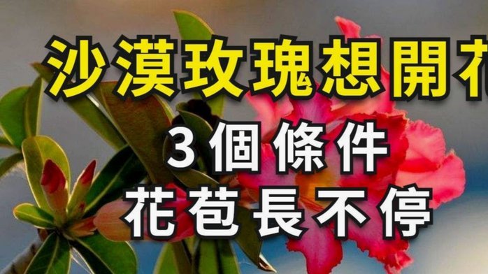 花呗是否正规平台可靠