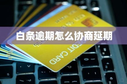 白条平台客服协商不了延期怎么办