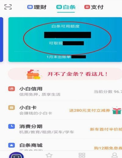 白条出来一个付费额度