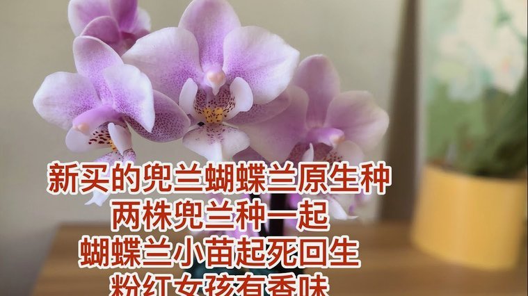 轻松搞定携程拿去花还款指南
