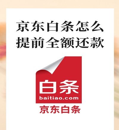 京东白条出库秒懂信用与物流的完美融合