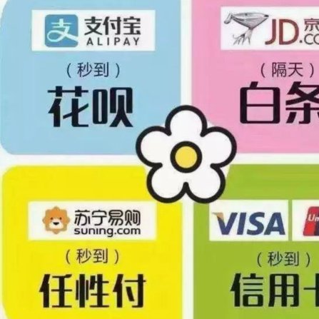 白条 套现金