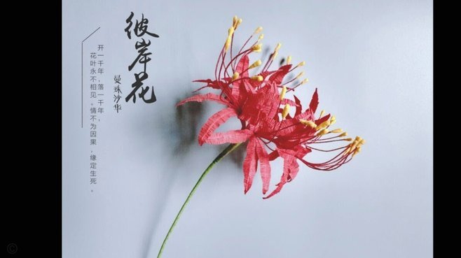 拿去花哪里可以套 出来信用卡的钱