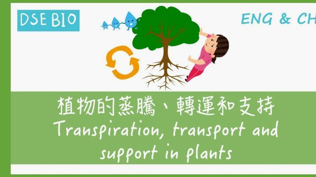 携程花商户清单：玩转旅行优惠