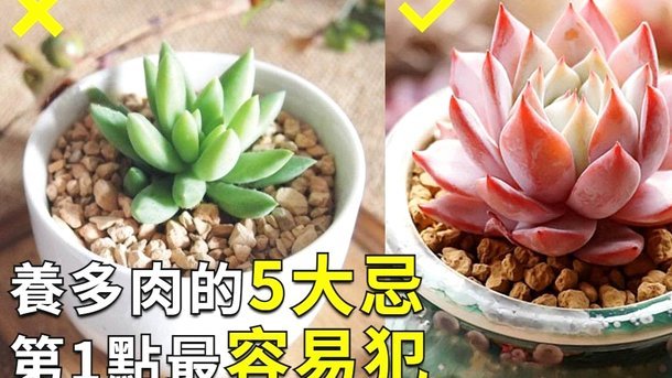 怎么套拿去花的钱