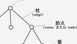 分付怎么体现?