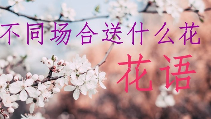 花呗现在怎么套