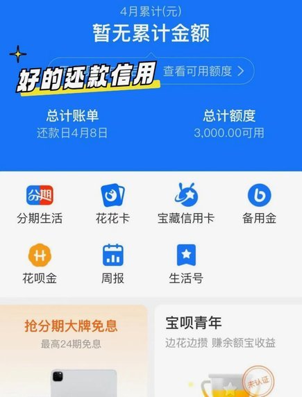 花呗现状分析报告
