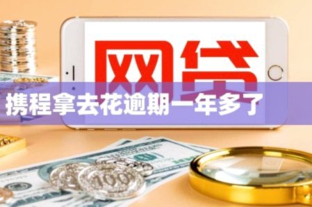 携程拿去花在哪里关闭