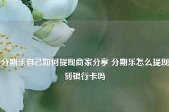 分期乐微信取现：便捷操作引领消费金融创新