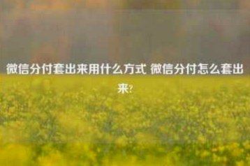 微信分付有什么办法套出来不