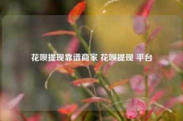 花呗无法直接提现，揭秘风险与合规真相