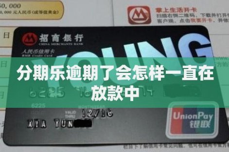 分期乐额度被冻结一个月怎么办